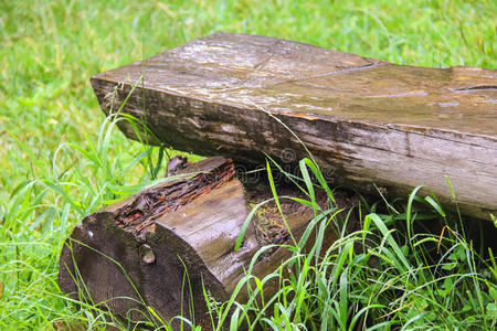 在草地绿草中用原木做的长凳
