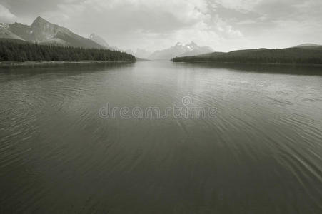 加拿大景观与恶性湖。 贾斯珀。 阿尔贝塔