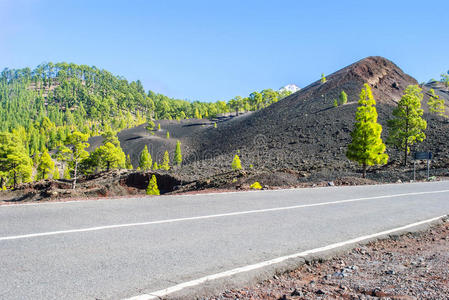 国家公园 遗产 皮科 气候 风景 自然 植物 岛屿 加拿大人