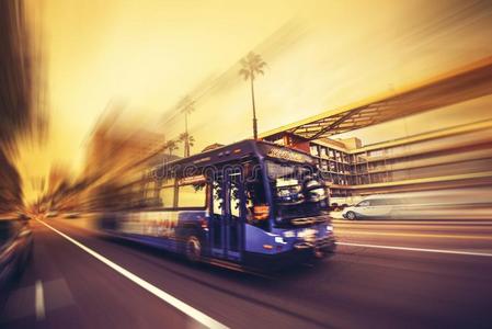 交通 时间 车辆 运输 加利福尼亚 棕榈树 联合 国家 公共汽车