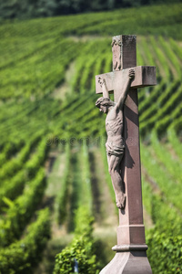 上帝啊 圣徒 法国 奉献 钉死 领域 崇拜 上帝 乡村 葡萄园