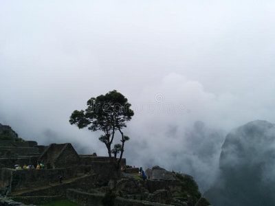 建筑学 文明 目的地 印加语 遗产 古老的 地标 秘鲁人