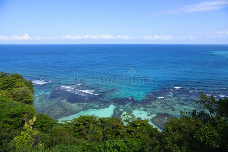 牙买加人 港口 入口 珊瑚 闲暇 美国 旅游业 安的列斯群岛