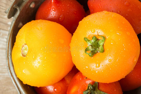红色和黄色的西红柿