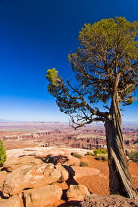公园 峡谷地带 犹他州 悬崖 旅游业 国家的 旅行 沙漠