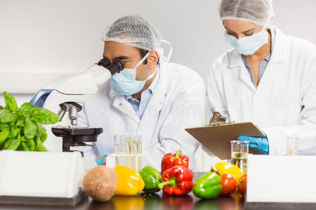 食品科学家使用显微镜进行研究照片