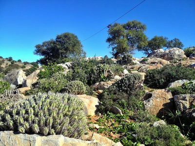 千层石假山图片