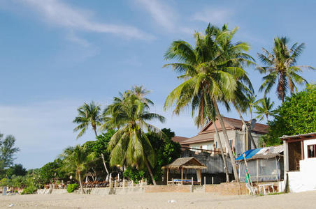 泰国 海滩 海岸 旅游业 建筑 酒店 喇嘛 棕榈 天空 风景