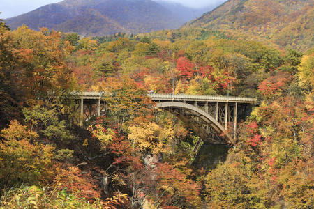 日本naruko峡谷的秋色