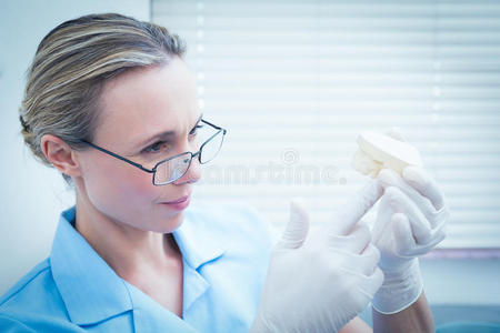 集中女性牙医看口腔模型