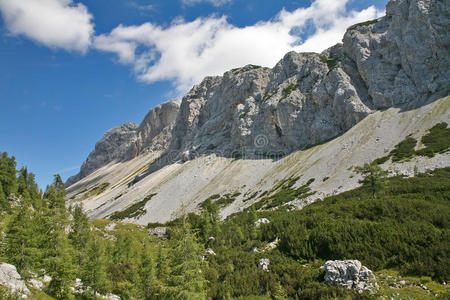 高山