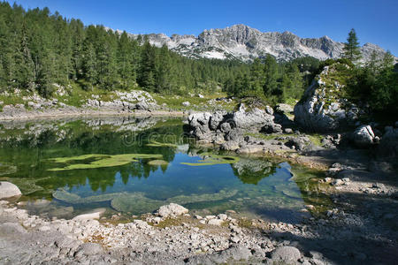 反射 岩石 风景 阿尔卑斯山 吸引力 攀登 冒险 高的 欧洲