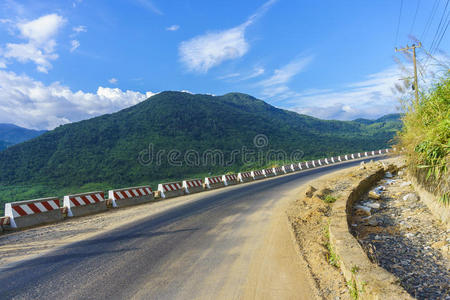 驱动 曲线 街道 空的 路边 森林 场景 国家 自由 天空