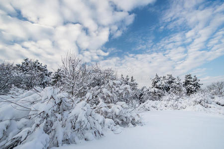 冻雪