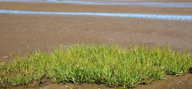 瓦登海