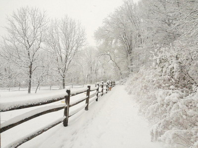 天气 脚印 栅栏 寒冷的 牧场 轨道 步行 降雪 暴风雪