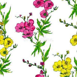 分支 植物 花的 绘画 插图 开花 形象 自然 花瓣 植物学