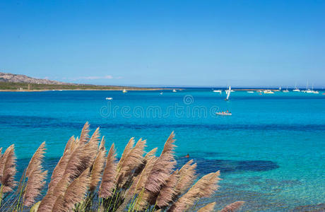 碧绿碧海美景