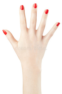 白种人 女人 女孩 时尚 颜色 提升 美女 制作 修指甲