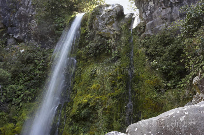 道森瀑布在新西兰