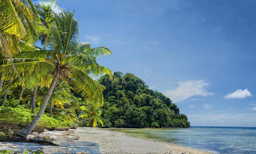 棕榈 海岸 求助 椰子 美丽的 海景 天空 安达曼 马尔代夫