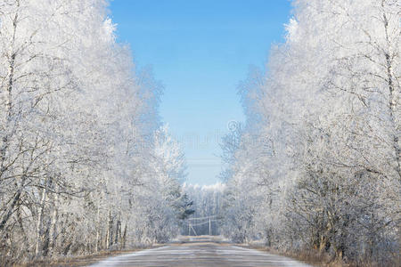 温特 车道 暴风雪 季节 寒冷的 冷冰冰的 自然 阴影 白霜