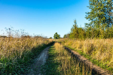 田野里的土路。