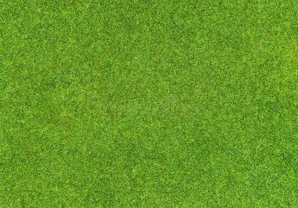 草图案高尔夫球场美丽的绿草图案照片