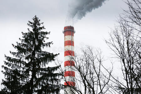 损害 植物 能量 烟囱 酸的 工厂 百万分之 温室 森林