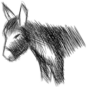 一只毛驴被孤立的素描