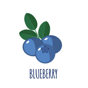 蓝莓图标，白色背景的平面样式