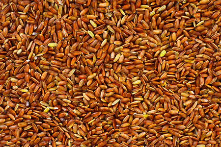 红米粗粮图片