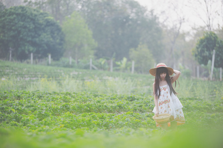 收获草莓原野上的女孩