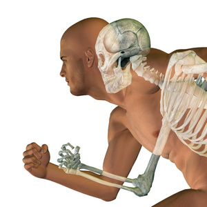 人类的人或男性 3d 概念解剖与骨头或背景上孤立的脸或骨架和头骨详细信息
