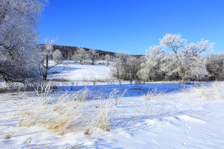 弗罗斯特的冬景图片