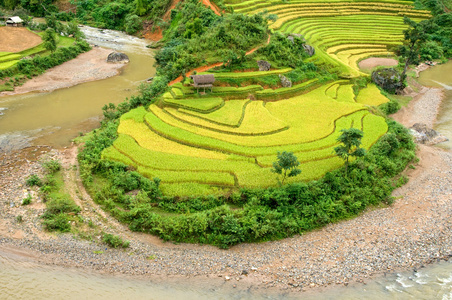 稻田上的梯田的木仓柴，Yenbai，越南。稻田准备在西北 Vietnam.Vietnam 风景收获