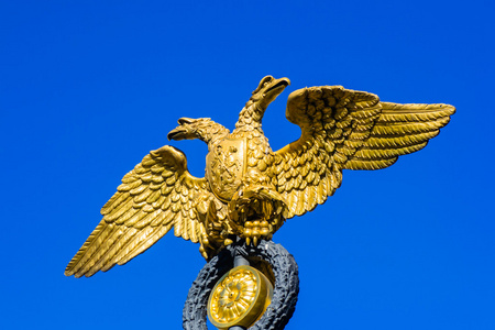 金色的双头鹰照片