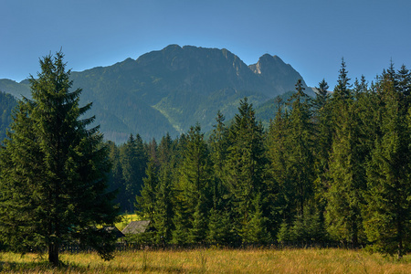 看法从 zakopane 镇山 giewont i