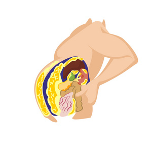 皮肤, 女性身体脂肪, 米色背景挤在肚脐附近的腹部脂肪胖子睡着了女人