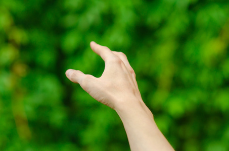 大自然是太阳春天,是大自然的主题 ︰ 人的手在春天,第一人称视图中的