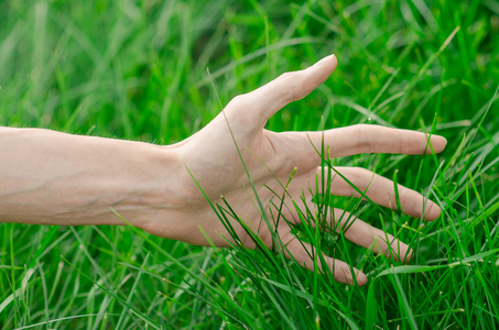 春天和松弛的主题  人类的手触摸到年轻新鲜的青草在花园里