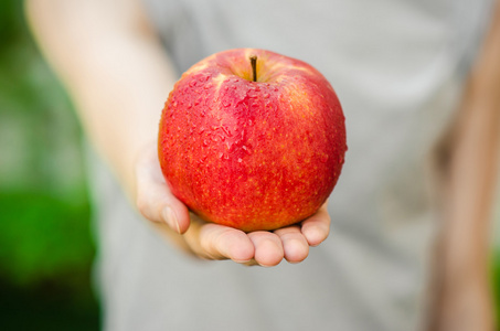 素食主义者和新鲜水果和蔬菜这一主题的性质: 一个红苹果人类的手上