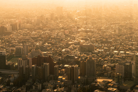 东京城市景观在日落时图片