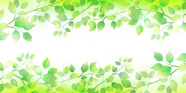 叶树新鲜绿色背景图片