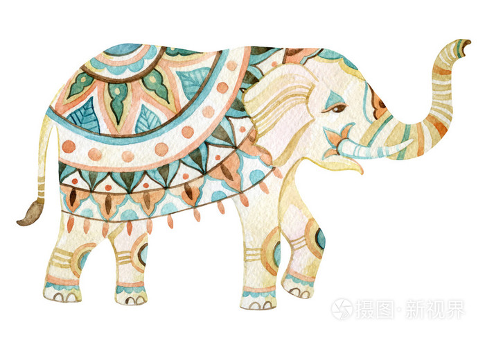 印度大象水彩插图