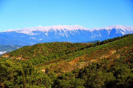 与高山景观