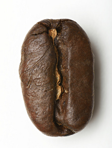 关门的咖啡豆