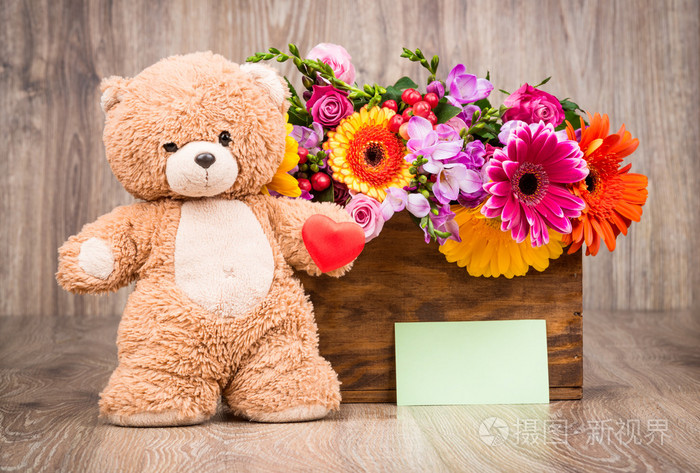 在框中 一只泰迪熊花照片 正版商用图片1mzogj 摄图新视界