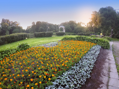 日落公园里的大花坛, 有万寿菊花 tagetes