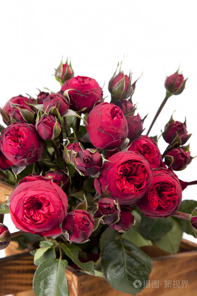 一堆红牡丹玫瑰